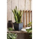 Alternate image 1 for The HC Companies Outdoor/Indoor Plastic Planter Eclipse Square, Warm Gray, 8''