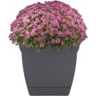 Alternate image 2 for The HC Companies Outdoor/Indoor Plastic Planter Eclipse Square, Warm Gray, 8''
