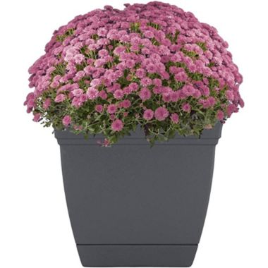 The HC Companies Outdoor/Indoor Plastic Planter Eclipse Square, Warm Gray, 8''. View a larger version of this product image.