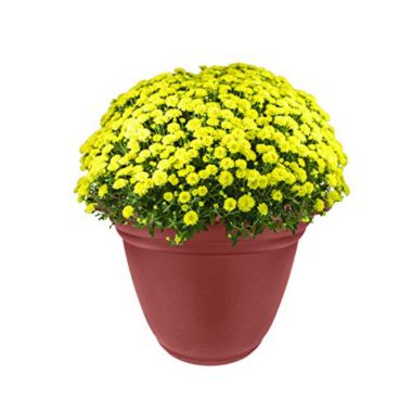 The HC Companies Mojave Stone Planter Pot - The HC Companies 22-Inch Medium Flower Pot Planter for an Indoor or Outdoor Plant Brick (MOA22000F04). View a larger version of this product image.