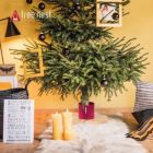 Alternate image 1 for Tree Nest Hip Christmas Tree Stand for Real Trees, Silver