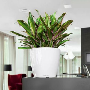 Lechuza USA 11" Glossy Red Round Classico Planter with Water Reservoir. View a larger version of this product image.