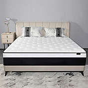 Infinity Merch Queen Size Mattress Black and White