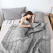 Sweet Home Collection Weighted Blanket Quality Heavyweight Cozy Soft Breathable and Comfortable Bedding 48" x 72" - 15 Pounds, Light Gray