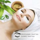 Alternate image 2 for Glam Hobby Electric Cordless Vacuum Ear Cleaner (1x cleaner)