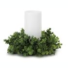 Alternate image 0 for Melrose Home Decorative Eucalyptus Candle Ring (Set of 6) 12"D Plastic (fits a 4" candle)
