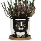 Alternate image 0 for Window Garden Cat Planter - Large Kitty Pot for Indoor House Plants, Succulents, Flowers