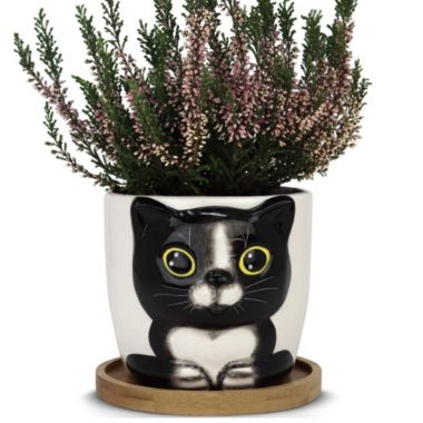 Window Garden Cat Planter - Large Kitty Pot for Indoor House Plants, Succulents, Flowers. View a larger version of this product image.