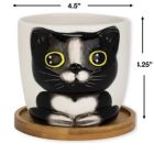 Alternate image 1 for Window Garden Cat Planter - Large Kitty Pot for Indoor House Plants, Succulents, Flowers