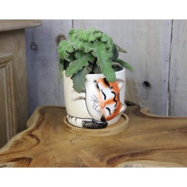 Window Garden Cat Planter - Large Kitty Pot for Indoor House Plants, Succulents, Flowers. View a larger version of this product image.