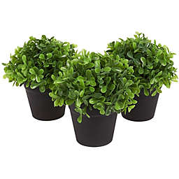 Juvale 3 Pack Mini Artificial Potted Plants for Home Decor, Small Faux Topiaries for Indoor Shelves or Outdoor Garden (5 x 5.2 In)