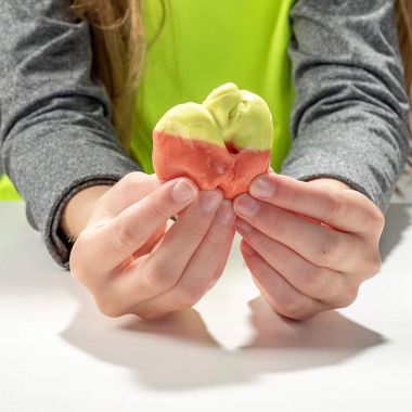 Squeeze Craft Color Changing Frudge Putty, Heat Sensitive - 12 Pack Multi-Colored Putty. View a larger version of this product image.