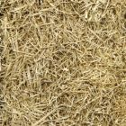 Alternate image 1 for Rhino Seed & Landscaping Supply 10LB All Purpose Straw Bale