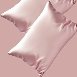 Winssy Mulberry Silk Pillowcases Queen Size