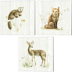 Great Art Now Meadows Edge on Wood by Danhui Nai 14-Inch x 14-Inch Canvas Wall Art (Set of 3)