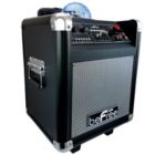 Alternate image 2 for beFree Sound Projection Party Light  Dome 6.5 Inch Subwoofer Bluetooth Portable Party Speaker with USB/ SD Input, FM Radio, Remote Control and  Microphone