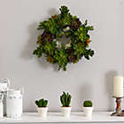 Alternate image 1 for Nearly Natural Green Succulent and Magnolia Spring Floral Wreath, 20-Inch