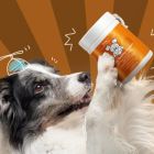 Alternate image 3 for DNA PET Happy Healthy Organs & Glands Supplement For Dogs, Canine Multi Organ Beef Powder, 3 oz
