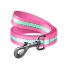 Alternate image 0 for Nylon Reflective Dog Leash