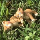 Alternate image 3 for HABA Little Friends Lion Cub - Chunky Plastic Zoo Animal Toy Figure (2" Tall)
