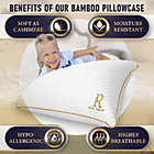 Alternate image 3 for Royal Therapy Memory Foam Pillow, Bamboo-Adjustable Shredded Odor-Free Pillow for Neck & Shoulder Pain Relief, Support for Back - Queen