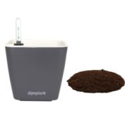 Window Garden Aquaphoric Self Watering Planter (5") + Fiber Soil