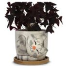 Alternate image 0 for Window Garden Cat Planter - Large Kitty Pot For Indoor House Plants, Succulents, Flowers