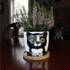 Alternate image 2 for Window Garden Cat Planter - Large Kitty Pot For Indoor House Plants, Succulents, Flowers