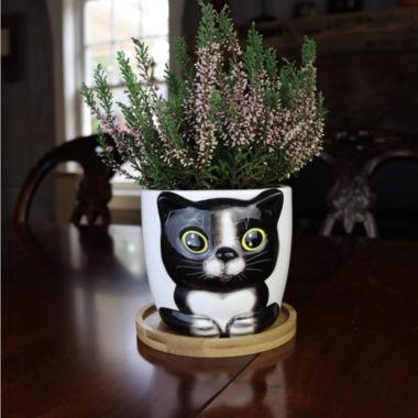 Window Garden Cat Planter - Large Kitty Pot For Indoor House Plants, Succulents, Flowers. View a larger version of this product image.