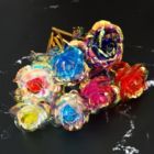 Alternate image 0 for Department Store 2Pcs 24K Golden Plated Rose Perfect Gift for Mother's Day, Professor's Day, Easter, Valentine's Day, Birthday Gift - Length 25cm/10in. Flower Diameter 8 Cm/3 Inches