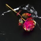 Alternate image 3 for Department Store 2Pcs 24K Golden Plated Rose Perfect Gift for Mother's Day, Professor's Day, Easter, Valentine's Day, Birthday Gift - Length 25cm/10in. Flower Diameter 8 Cm/3 Inches