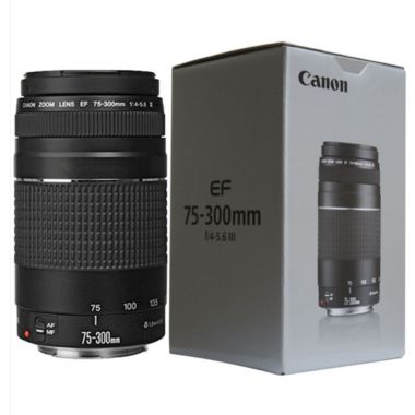 Canon EF 75-300mm f/4.0-5.6 III Autofocus Lens Bundle For Canon T6 T6I 70D 80D. View a larger version of this product image.