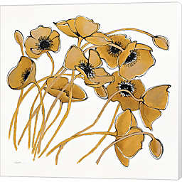 Metaverse Art Gold Black Line Poppies II by Shirley Novak 24-Inch x 24-Inch Canvas Wall Art