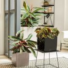 Alternate image 1 for Lechuza USA 16" Red Cube Planter with Water Reservoir