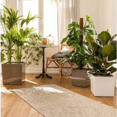 Lechuza USA 16" Red Cube Planter with Water Reservoir. View a larger version of this product image.