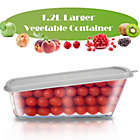 Alternate image 3 for FITNATE Food Fruit Kitchen Container