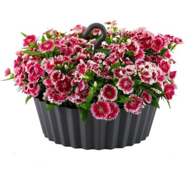 Tree Nest (#122647) Sunny Hanging Lace Pattern Planter Round, Anthracite - 12&reg;. View a larger version of this product image.