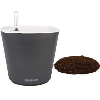 Window Garden Aquaphoric Self Watering Planter (7") + Fiber Soil. View a larger version of this product image.
