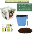 Alternate image 1 for Window Garden Aquaphoric Self Watering Planter (7") + Fiber Soil