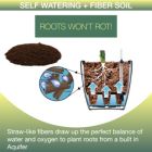 Alternate image 2 for Window Garden Aquaphoric Self Watering Planter (7") + Fiber Soil
