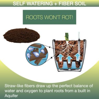 Window Garden Aquaphoric Self Watering Planter (7") + Fiber Soil. View a larger version of this product image.