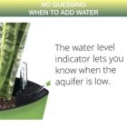 Alternate image 3 for Window Garden Aquaphoric Self Watering Planter (7") + Fiber Soil