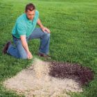 Alternate image 2 for Rhino Seed EZ-Straw Seeding Mulch With Tack 11 lb