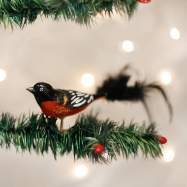Old World Christmas Baltimore Oriole Glass Blown Ornament. View a larger version of this product image.