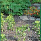 Alternate image 3 for Garden Zone Origin Point Garden Zone 16-Gauge Green Vinyl Coated Garden Fence, 36" x 50'