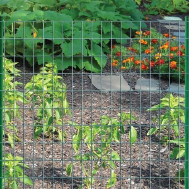 Garden Zone Origin Point Garden Zone 16-Gauge Green Vinyl Coated Garden Fence, 36" x 50'. View a larger version of this product image.