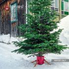 Alternate image 1 for Tree Nest Christmas Tree Stand Base Modern Metal Holder for 8ft Real Tree, Medium, Red