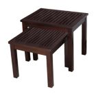 Alternate image 0 for D-Art collection Mahogany Finish Valencia Nesting Table set of 2 pcs