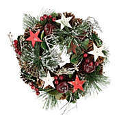 Northlight Apples, Stars and Pine Cones Frosted Artificial Christmas Wreath, 10-Inch, Unlit