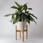 Alternate image 2 for Kanso Designs Adjustable Plant Stand Wooden Bamboo, Mid Century Modern Natural Light Brown Plant Stand, Extendable Planter Stand, 8" - 12" Plant Pot Stand